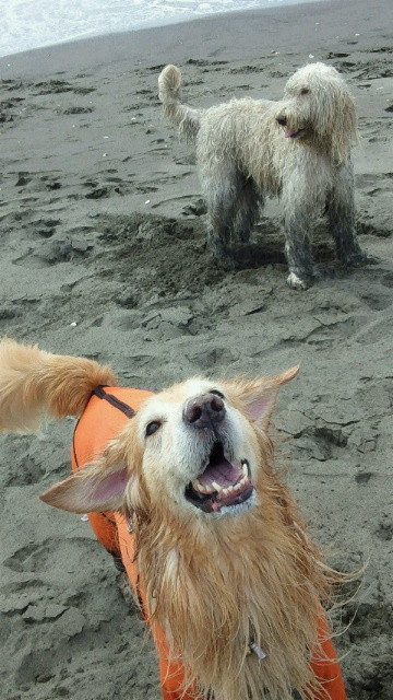 ファイル 4519-2.jpg