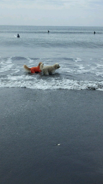 ファイル 4519-3.jpg