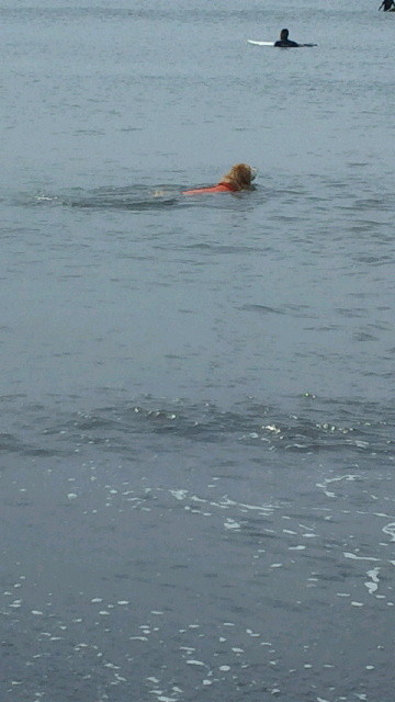 ファイル 4519-4.jpg