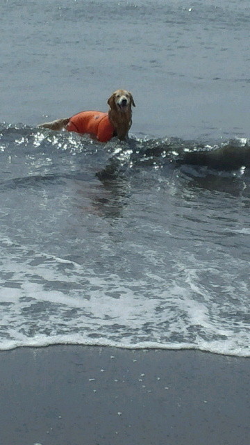 ファイル 4519-5.jpg