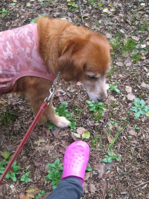 ファイル 452-3.jpg