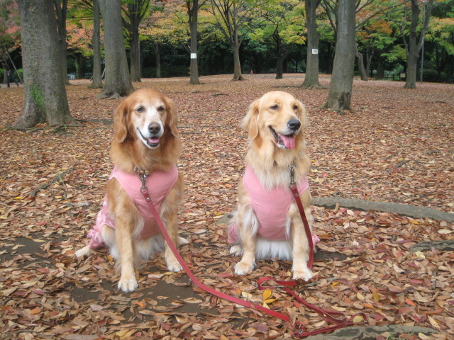 ファイル 452-5.jpg