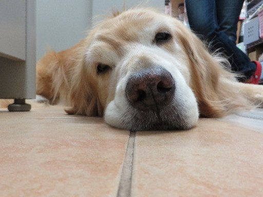 ファイル 4520-1.jpg