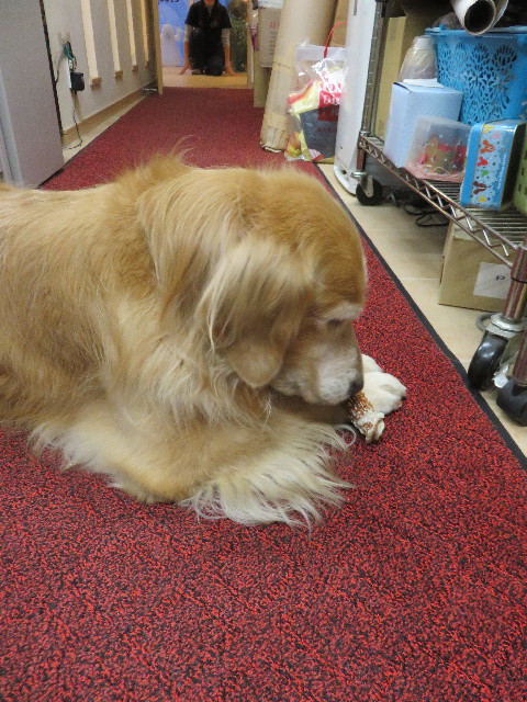 ファイル 4523-1.jpg