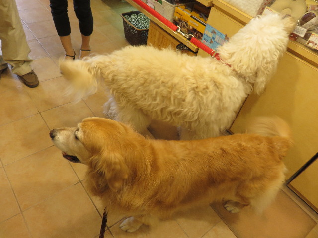 ファイル 4523-4.jpg