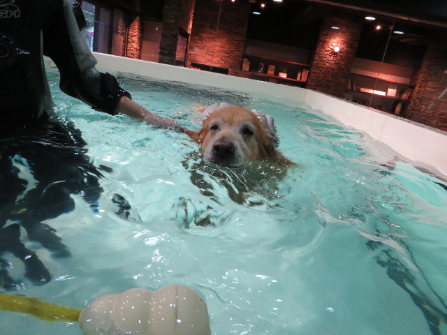 ファイル 4526-3.jpg