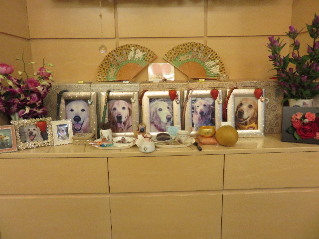 ファイル 4528-3.jpg