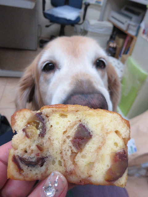 ファイル 4529-5.jpg