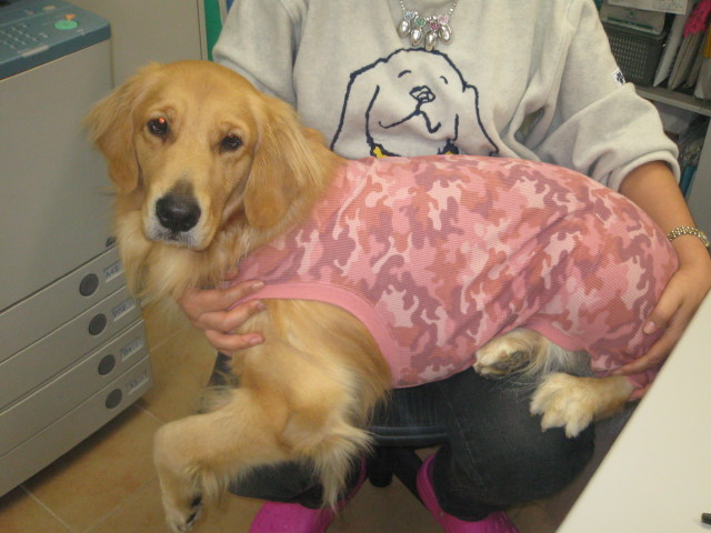 ファイル 453-5.jpg