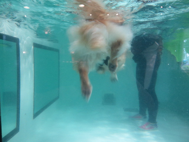 ファイル 4530-4.jpg