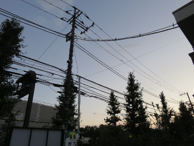 ファイル 4532-5.jpg