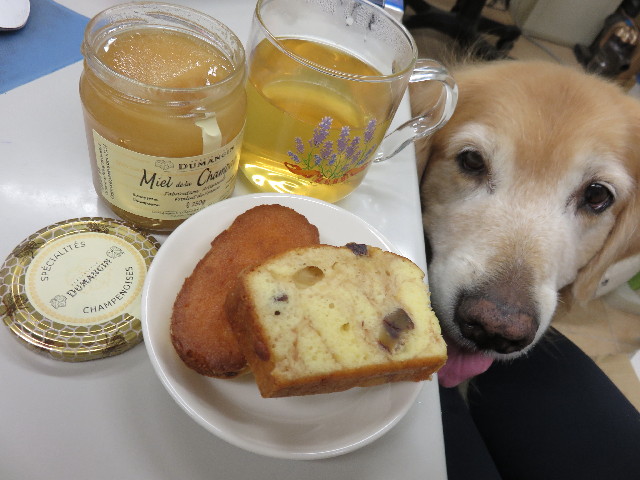 ファイル 4533-5.jpg