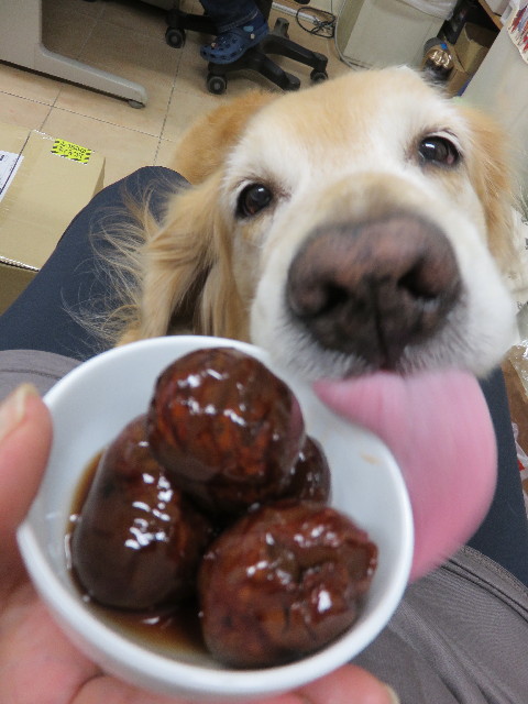 ファイル 4534-1.jpg