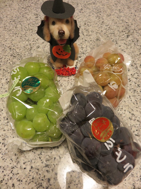 ファイル 4534-2.jpg