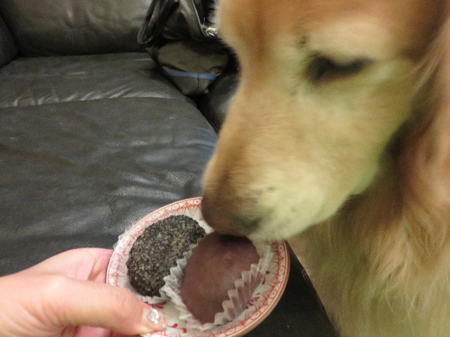 ファイル 4534-3.jpg