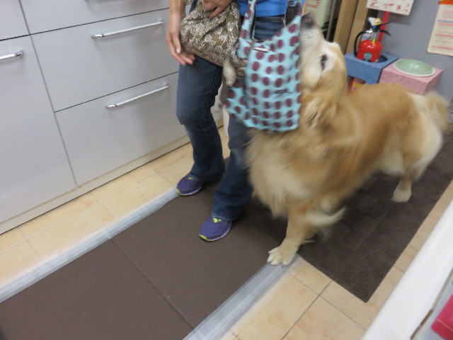 ファイル 4535-3.jpg