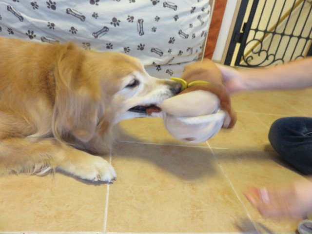 ファイル 4535-5.jpg