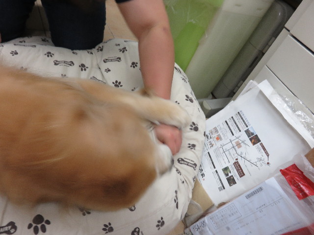 ファイル 4536-5.jpg