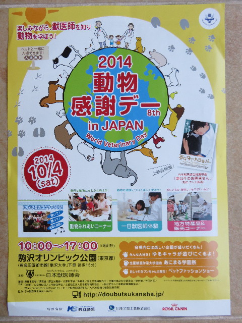 ファイル 4537-1.jpg