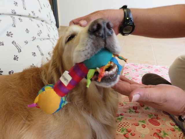 ファイル 4538-5.jpg