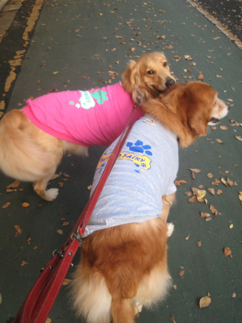 ファイル 454-4.jpg