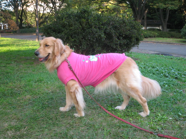 ファイル 454-5.jpg