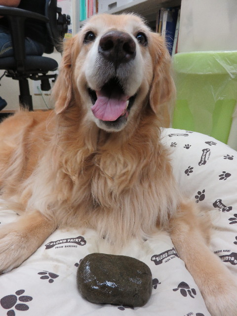 ファイル 4540-4.jpg