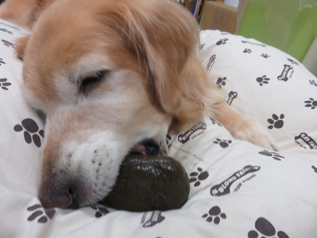 ファイル 4540-5.jpg