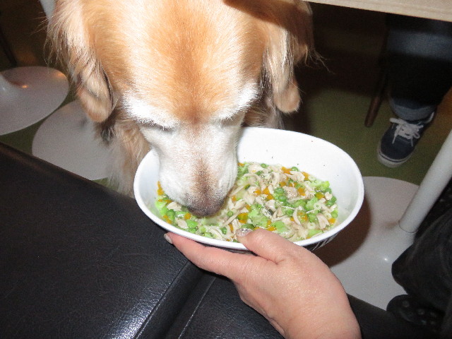 ファイル 4541-3.jpg