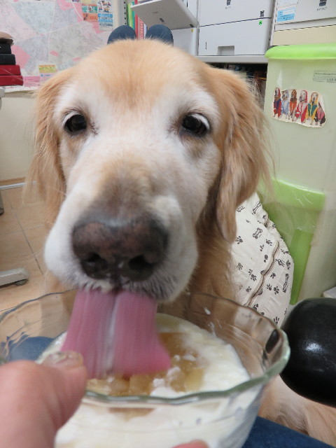 ファイル 4541-5.jpg