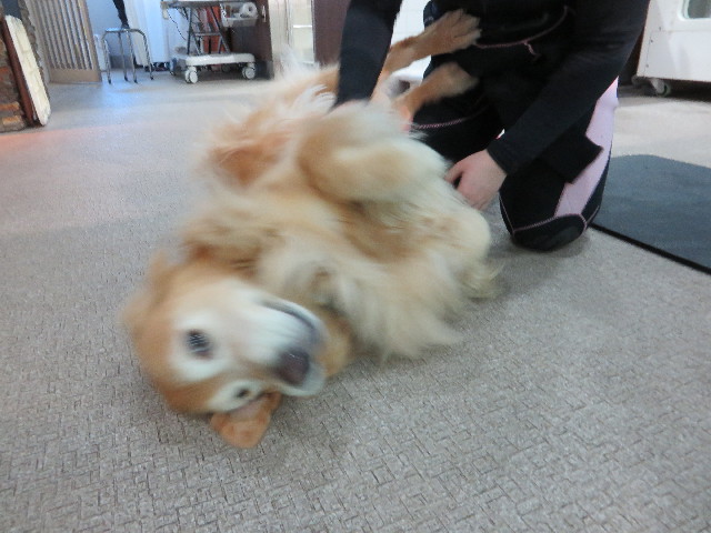 ファイル 4542-1.jpg