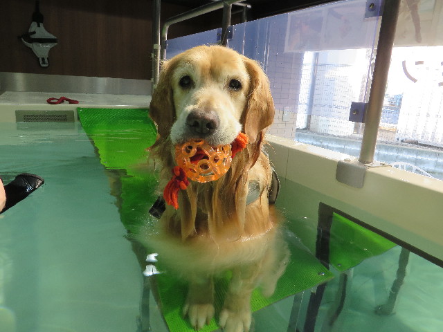 ファイル 4542-2.jpg