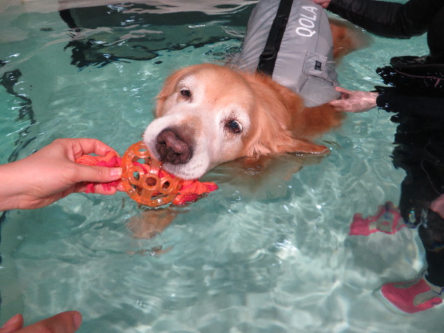 ファイル 4542-3.jpg