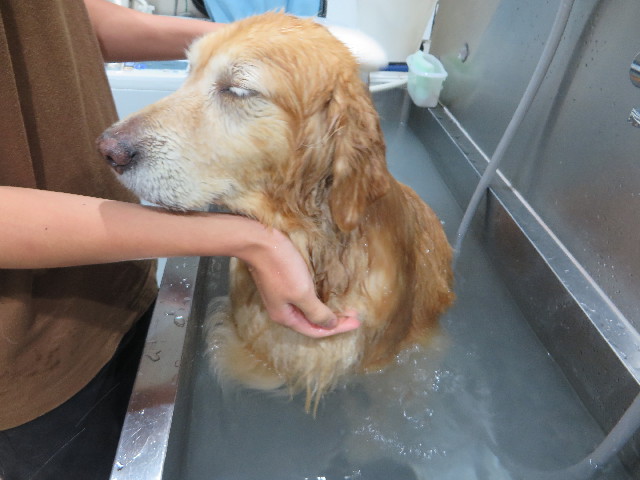 ファイル 4542-5.jpg