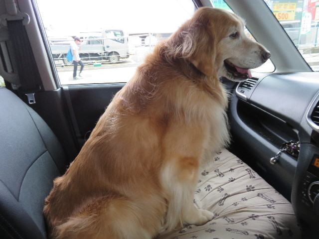 ファイル 4543-4.jpg