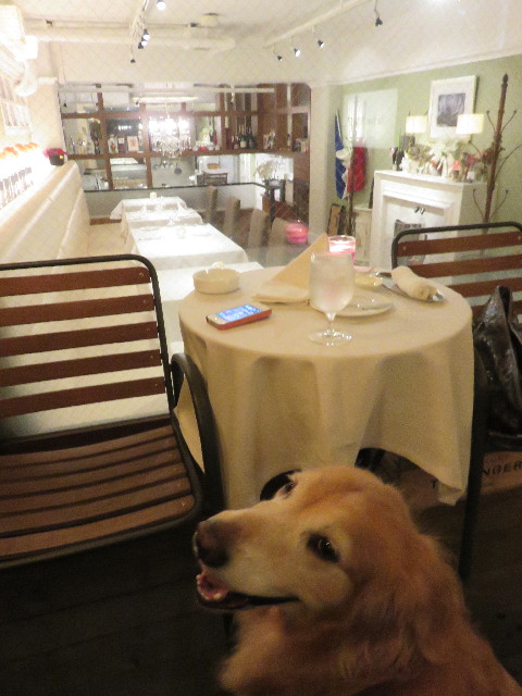 ファイル 4544-1.jpg