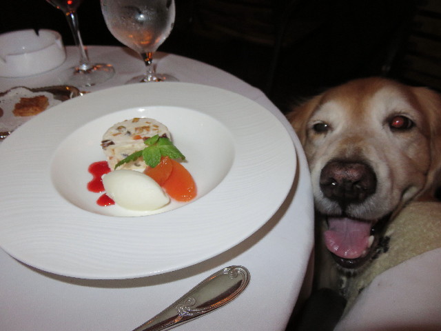 ファイル 4544-4.jpg