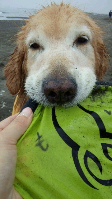 ファイル 4545-3.jpg