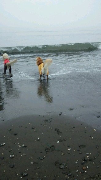 ファイル 4545-4.jpg