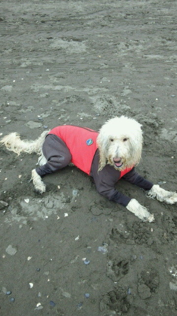 ファイル 4545-5.jpg