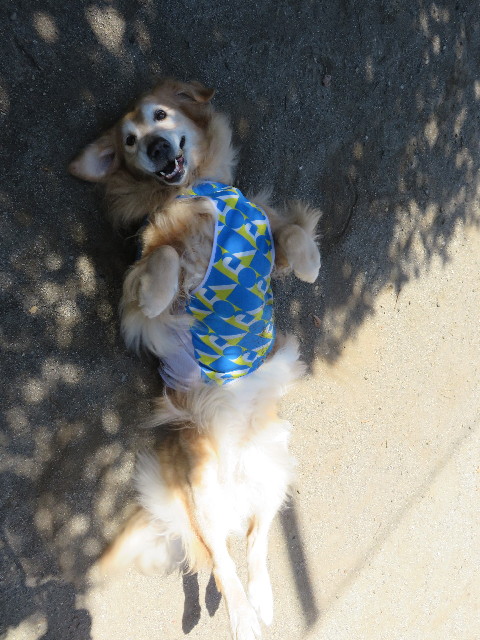 ファイル 4546-2.jpg