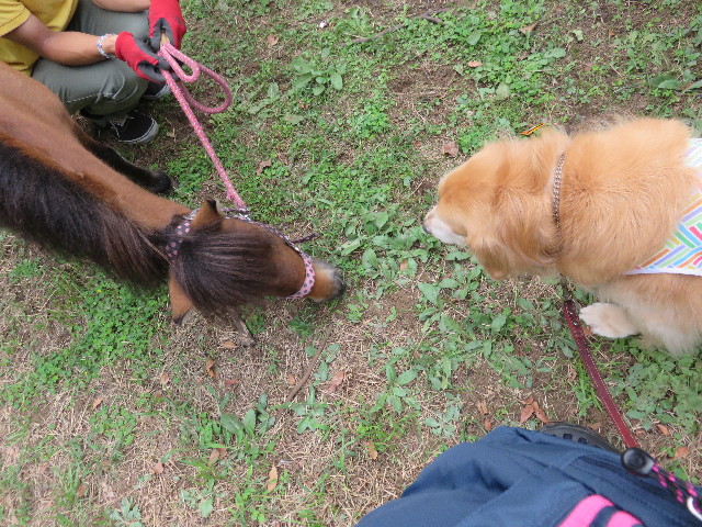 ファイル 4547-2.jpg