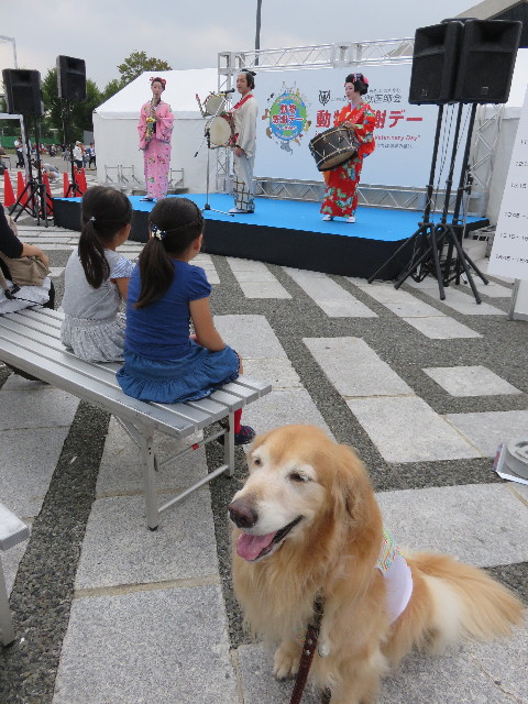 ファイル 4547-3.jpg