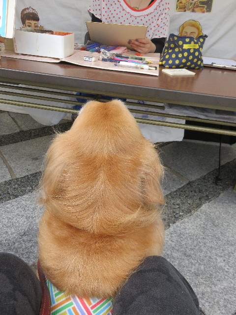 ファイル 4547-4.jpg