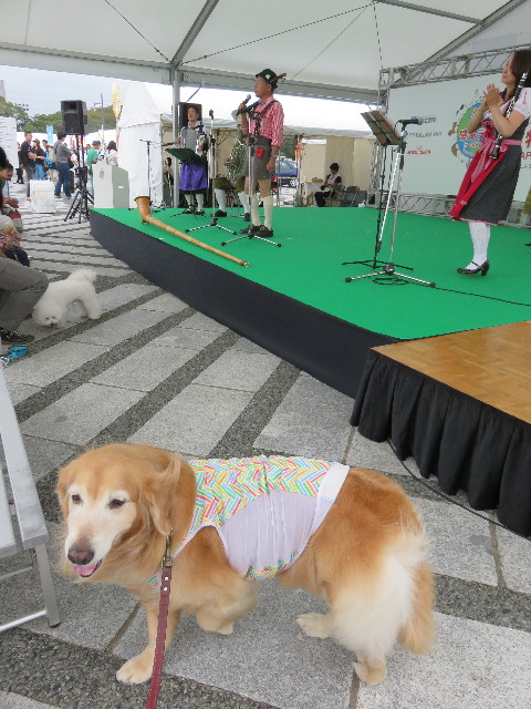 ファイル 4548-3.jpg