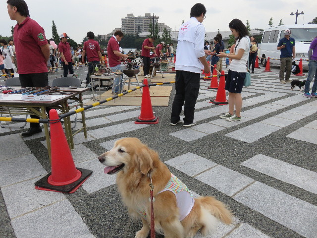 ファイル 4549-1.jpg