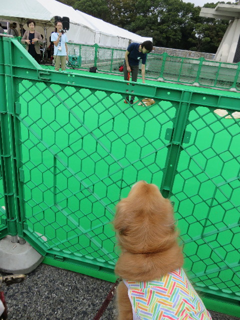 ファイル 4549-3.jpg