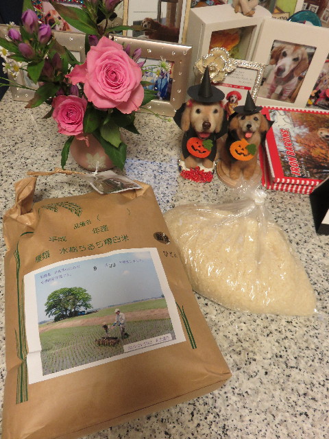 ファイル 4550-2.jpg