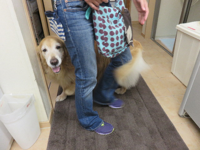 ファイル 4550-4.jpg