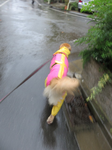 ファイル 4551-2.jpg